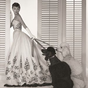 Meet your Posher, Kristin